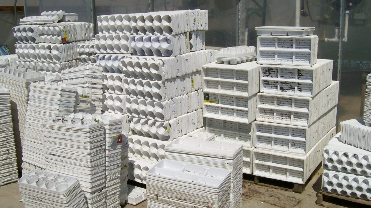 https://www.masterpieceflower.com/wp-content/uploads/2023/09/Trays-to-be-sorted-by-grower-1280x720.jpg